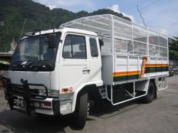 Military Truck